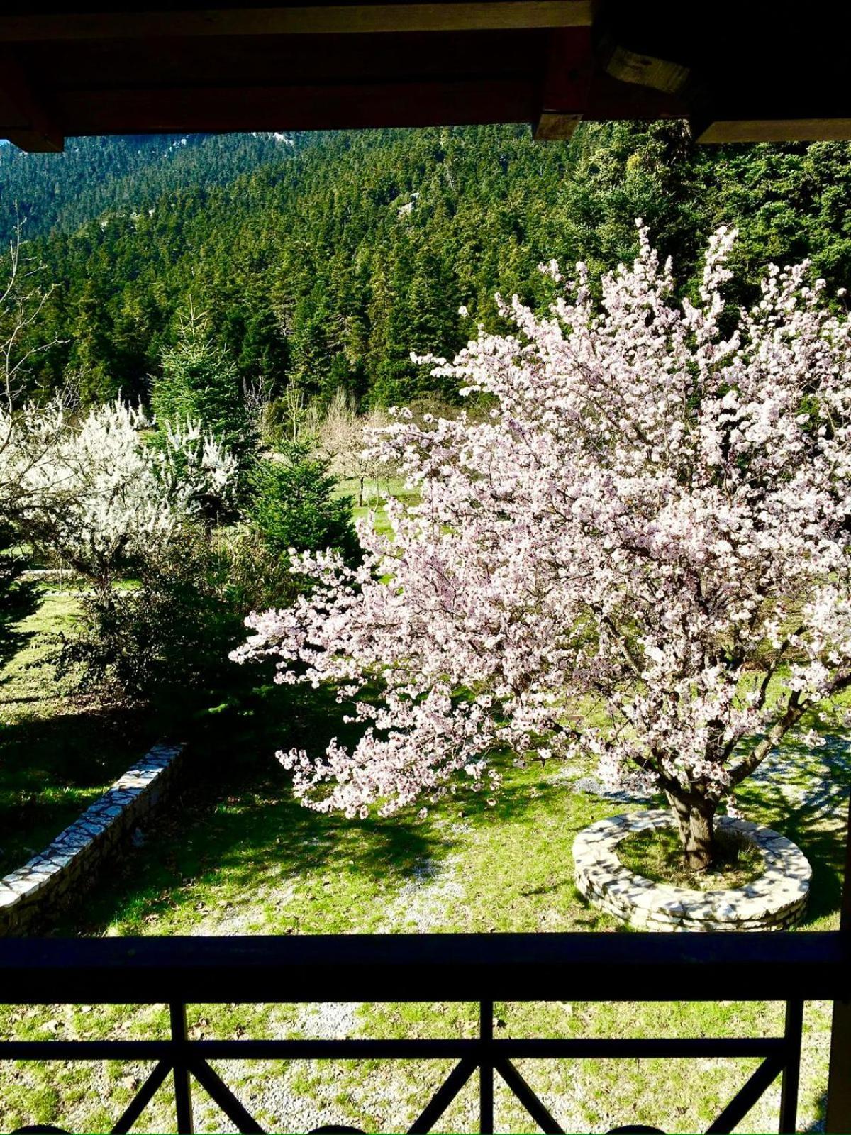 Alpine Escape Maisonette By Ski Alure Arachova Dış mekan fotoğraf